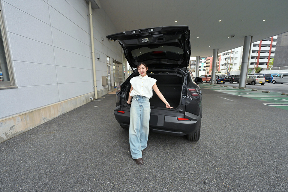 eビターラ 給電機能